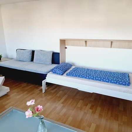 Panorama Bad Säckingen